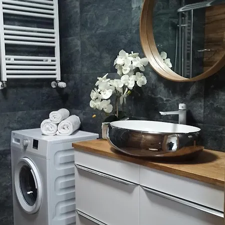 Z Basenem I Klimatyzacja סרבינובו